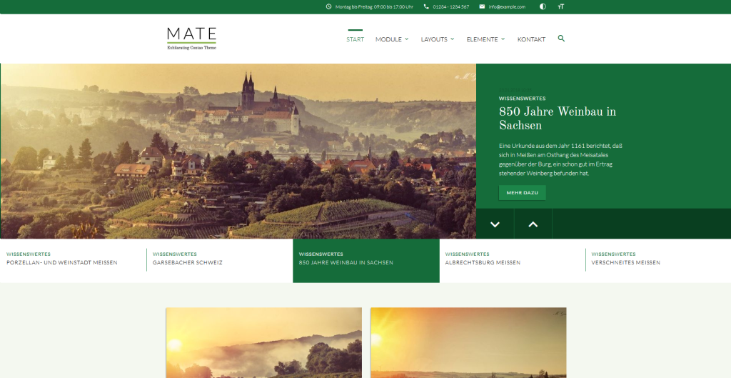 VisionThins-Aachen-Contao-demo-mate