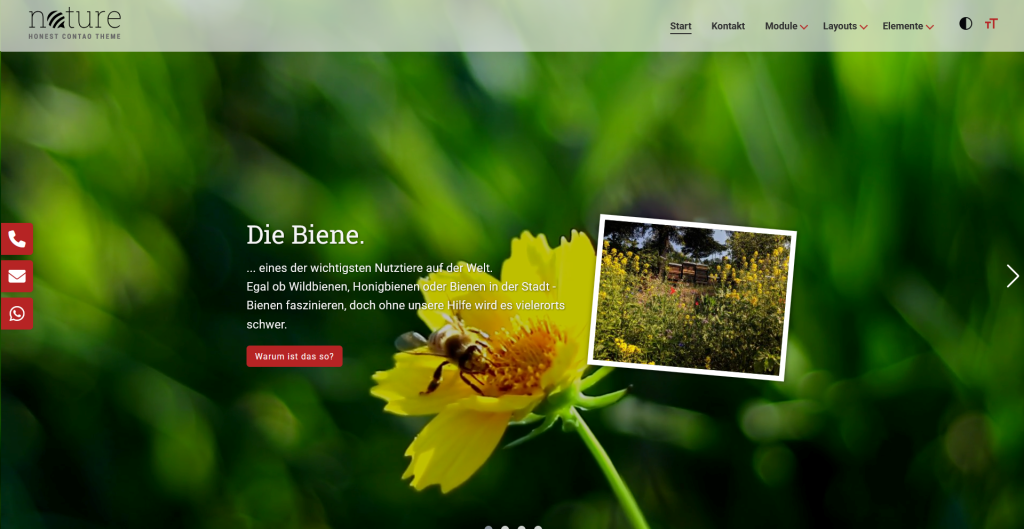 VisionThins-Aachen-Contao-demo-nature